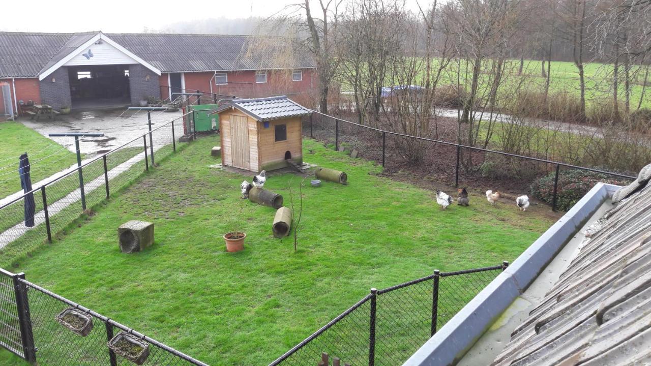 Bed & Breakfast “ Gastvrij Onthaal “ Een-West Eksteriør billede